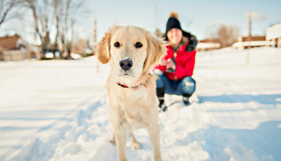 Was Tun mit Hunden im Winter: Tipps für die Kalte Jahreszeit
