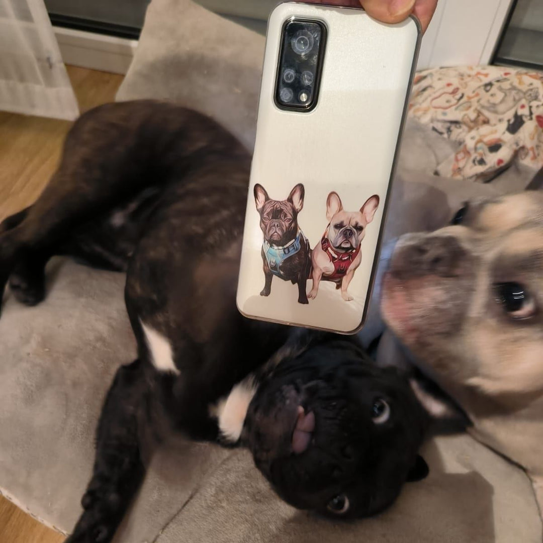 Hund & Katze
