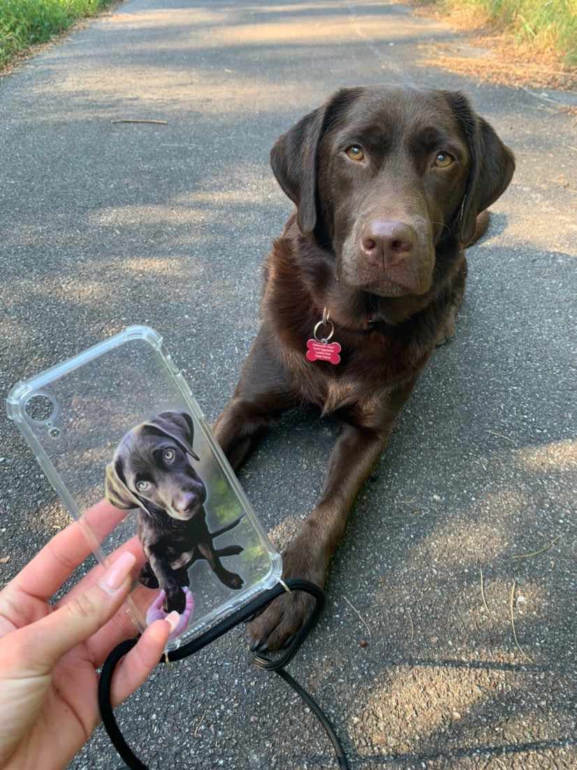 Personalisierte Tierfoto Handyhülle mit Band / Handyhülle mit Kette